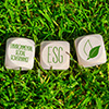 ESG