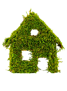 Nachhaltigkeit in der Immobilienwirtschaft